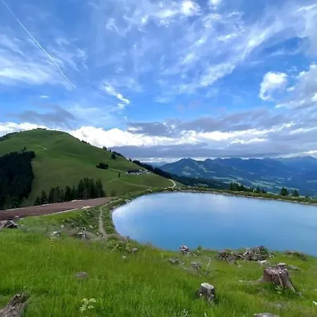 In Hopfgarten شاليه هوبفغراتن إم بريكسنتال