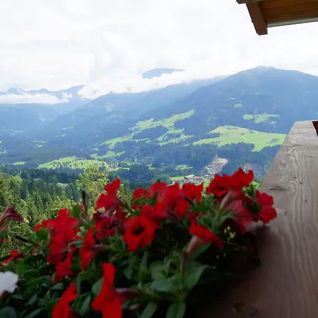 شاليه In Hopfgarten