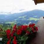Domek alpejski In Hopfgarten