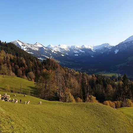 In Hopfgarten Шале *