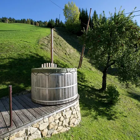 In Hopfgarten Шале