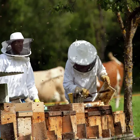 In Hopfgarten Шале