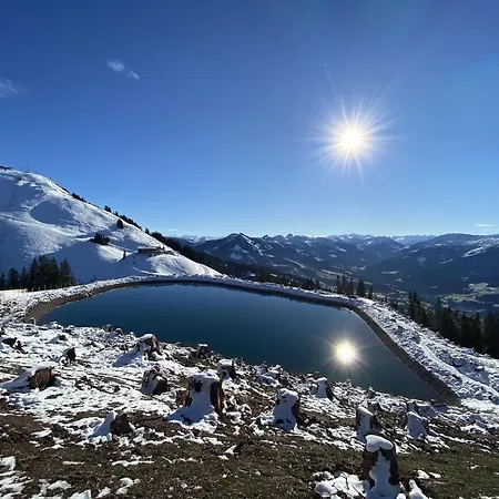 In Hopfgarten Шале Хопфгартен-им-Бриксенталь