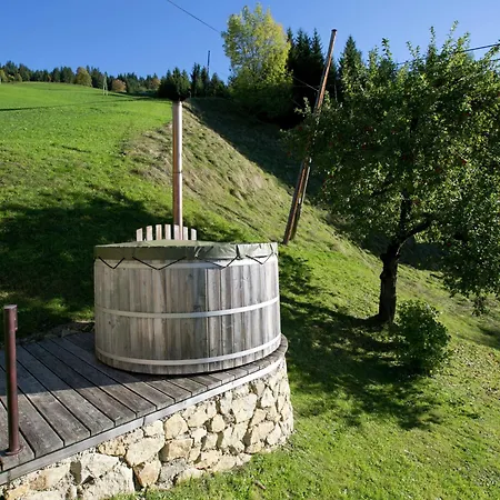 In Hopfgarten In Brixental With Hot Tub